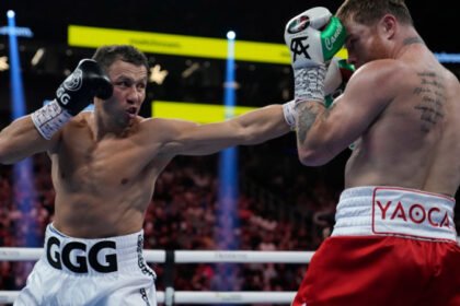 новости бокса