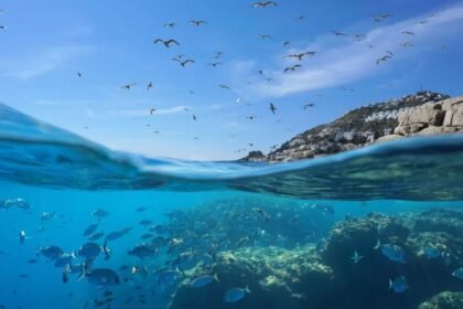 скільки океанів на землі