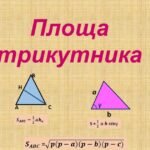 площа трикутника