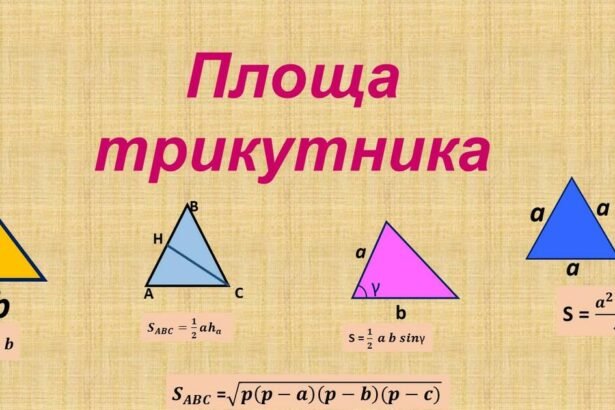 площа трикутника