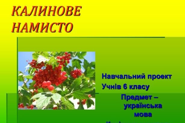 українська мова 6 клас