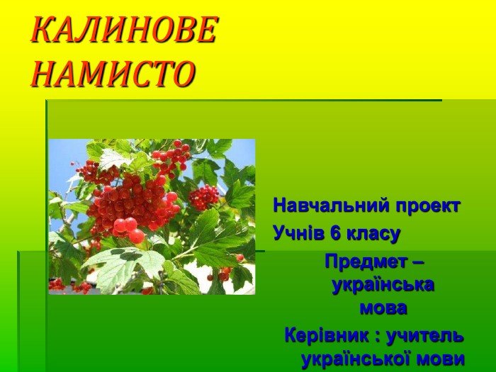 українська мова 6 клас