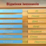 відмінки іменників