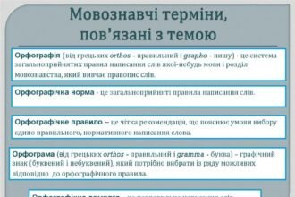 орфографічна помилка це