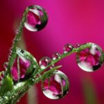 скачати заставки на телефон бесплатно