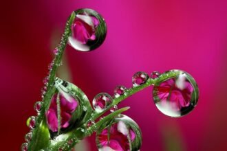 скачати заставки на телефон бесплатно