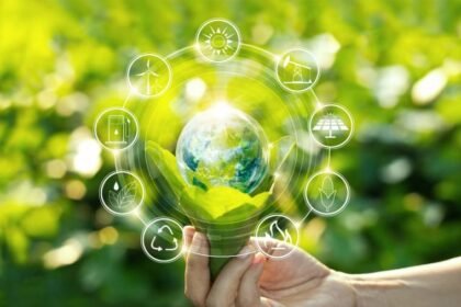 сталий розвиток