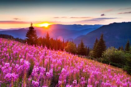 красивые фото