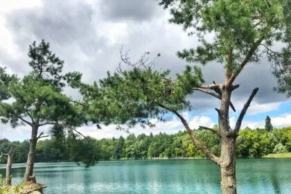 грицівський кар'єр